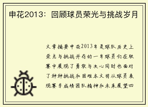 申花2013：回顾球员荣光与挑战岁月
