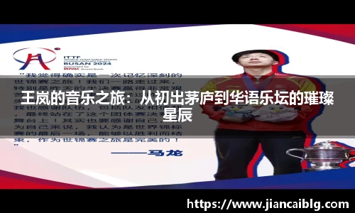 王岚的音乐之旅：从初出茅庐到华语乐坛的璀璨星辰